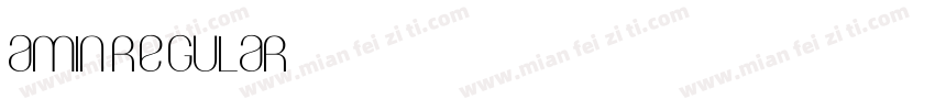 Amin Regular字体转换